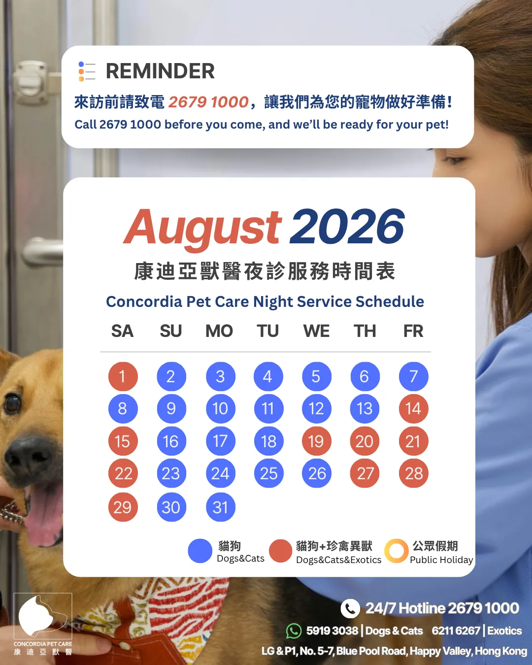 8月.webp
